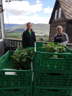 Magnhild Søberg i Nord-Fron Bondelag får kasser med planter til barnehagene i kommunen.