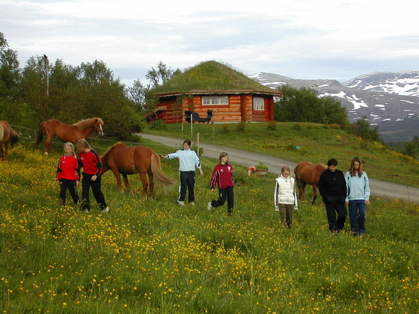 Barn og hester i grasbeite med hytte og fjell i bakgrunnen