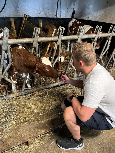 Lavrans Kierulf fra Frp hilser på en kalv. 