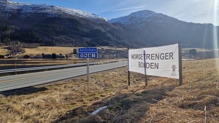 Banner med teksten "Norge trenger bonden" langs veien i Batnfjordsøra