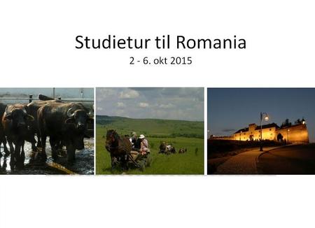 studietur til Romania