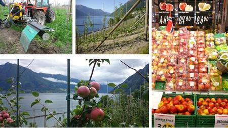 Rekrutteringsdag for økologisk fruktproduksjon