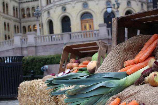 Grønnsaker foran Stortinget