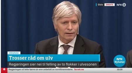 Klima- og miljøminister Ola Elvestuen sier nei til felling av to flokker i ulvesonen. Foto: Skjermdump fra pressekonferansen på NRK