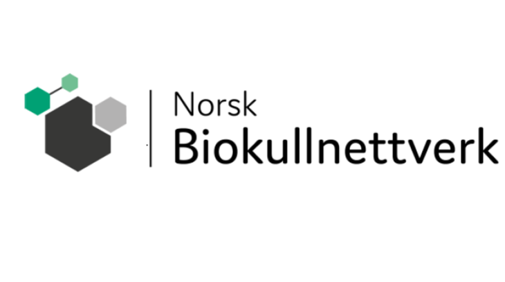 Norsk Biokullnettverk