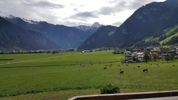 Grønne beitemarker og snødekte fjelltopper i Zillertal