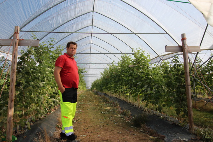 Bærbønder er blant dem som trenger mange hender i arbeid. Her fra Råde i Østfold. 